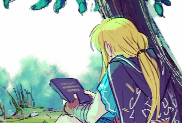 A Future - Linked Universe (Wind Waker)